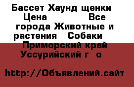 Бассет Хаунд щенки › Цена ­ 20 000 - Все города Животные и растения » Собаки   . Приморский край,Уссурийский г. о. 